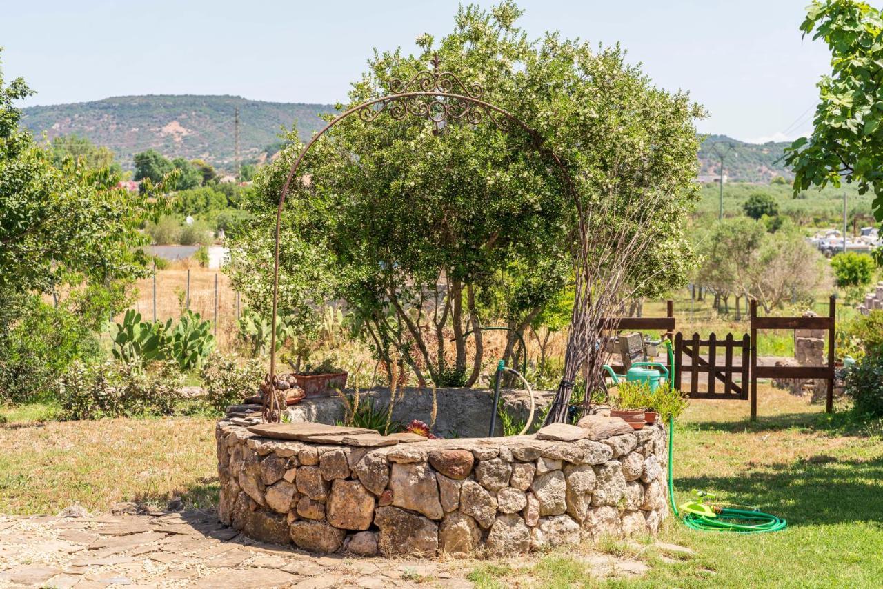 Open Space Accommodation Альгеро Экстерьер фото